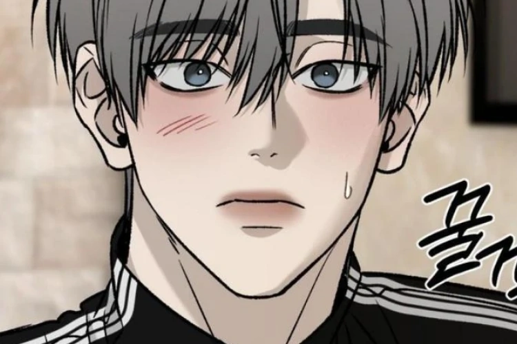 Manhwa Feel My Benefit Chapter 71 in English Scan RAW: The Beauty of Falling in Love